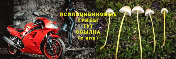 Альфа ПВП Новокубанск