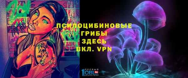 прущая мука Новозыбков