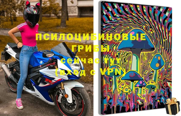 Альфа ПВП Новокубанск