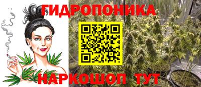 гидра Партизанск