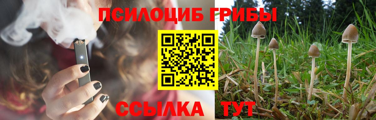 Чита  Галлюциногенные грибы Psilocybe  наркотики  Вход с VPN  Галлюциногенные грибы Psilocybine cubensis 